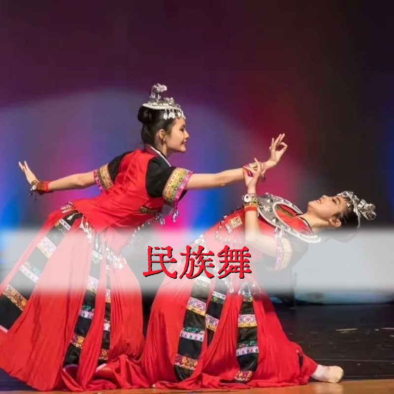 中華文化到校表演