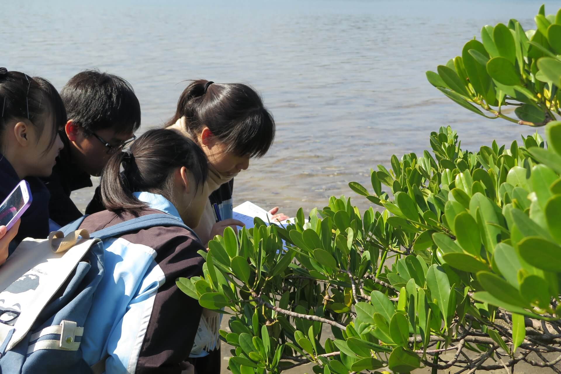 香港全方位學習計劃津貼